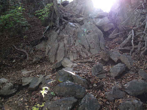 20171102hike (227)